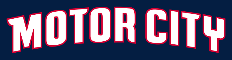 Detroit Pistons 2013-Pres Wordmark Logo iron on transfers for clothing